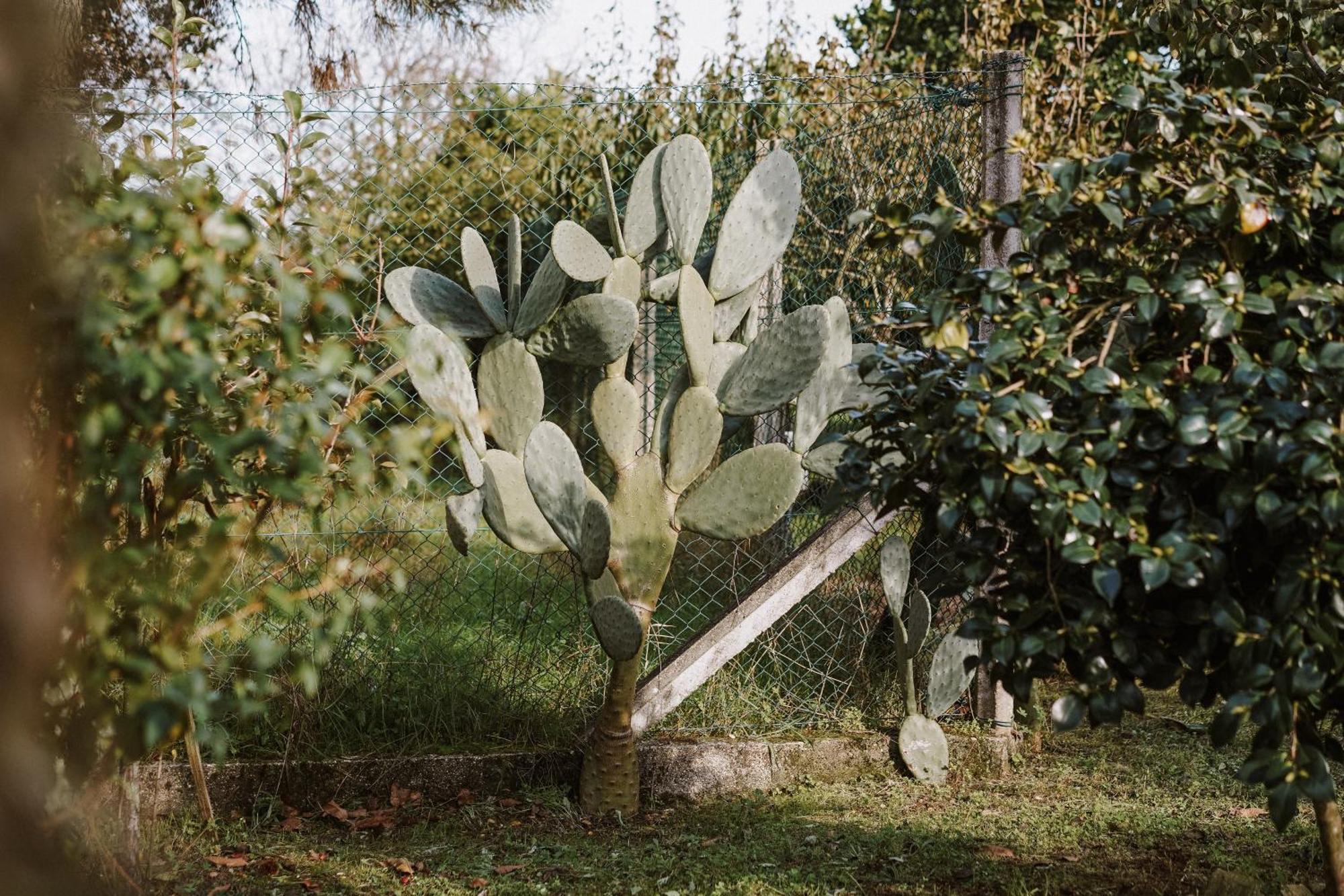 Casa Rural Oliveira Do Bairro Exteriér fotografie